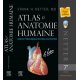 Atlas d'anatomie humaine Netter  Livres, chartes et réflexologie