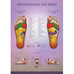 Charte - Réflexologie des Pieds  Magasiner tout - Produits Massage Boutik