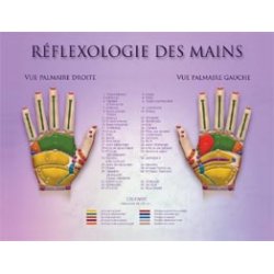 Hand Reflexology (double-sided) Chart  Shop by category - Massage Boutik Products